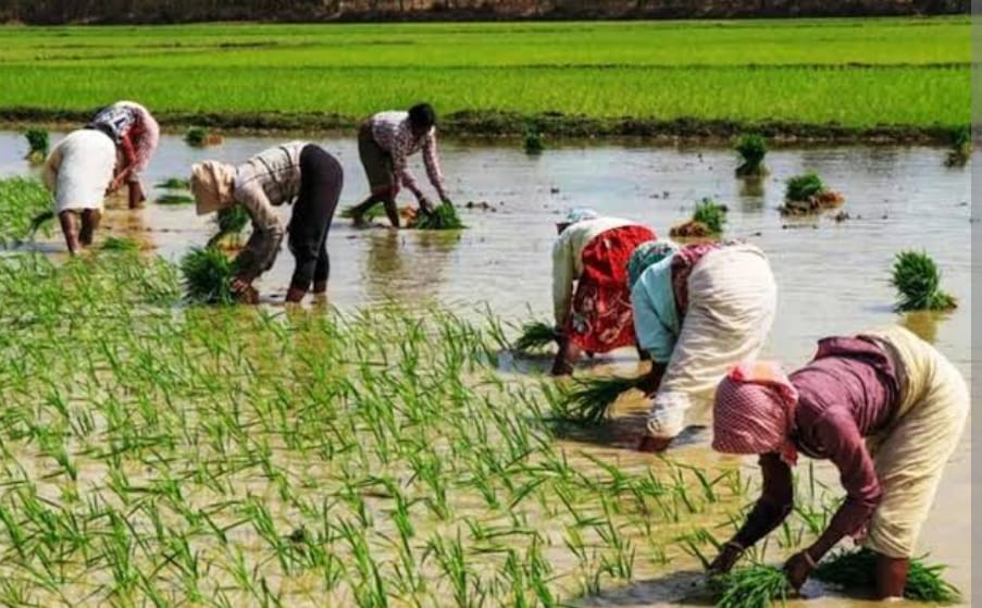PM Kisan Yojana