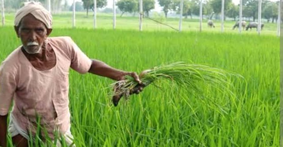 PM Kisan Yojana